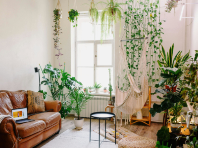 Indoor Hanging Plants and Wall Shelves: A Comprehensive Guide for Wall Decoration