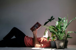 Read more about the article Mental Health Benefits of Indoor Plants